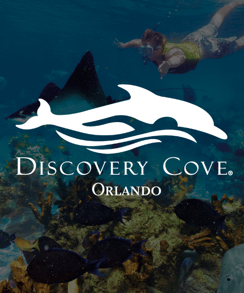 Discovery Cove Orlando offers guests the opportunity to swim with dolphins