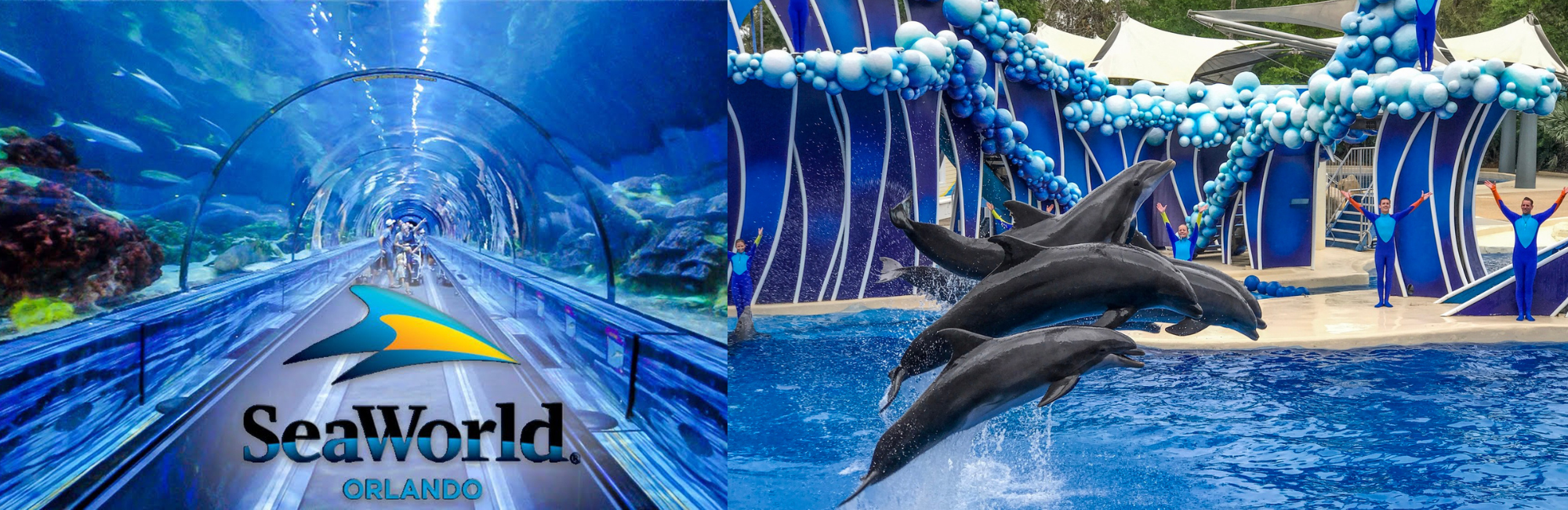 SeaWorld Orlando vacation offers family a true marine education with the joys of a theme park.