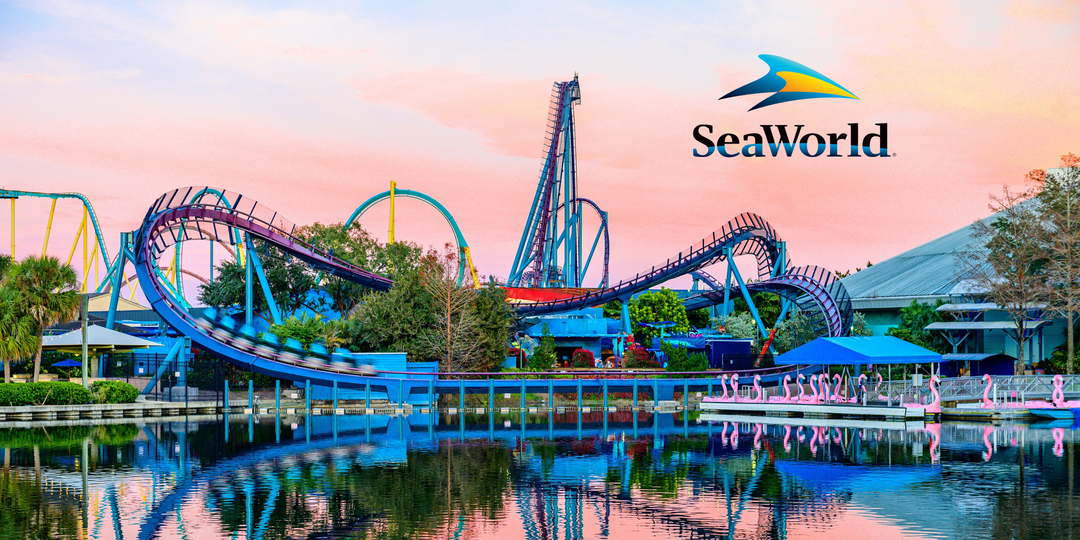 Sea World Orlando Theme Park has many roller coasters