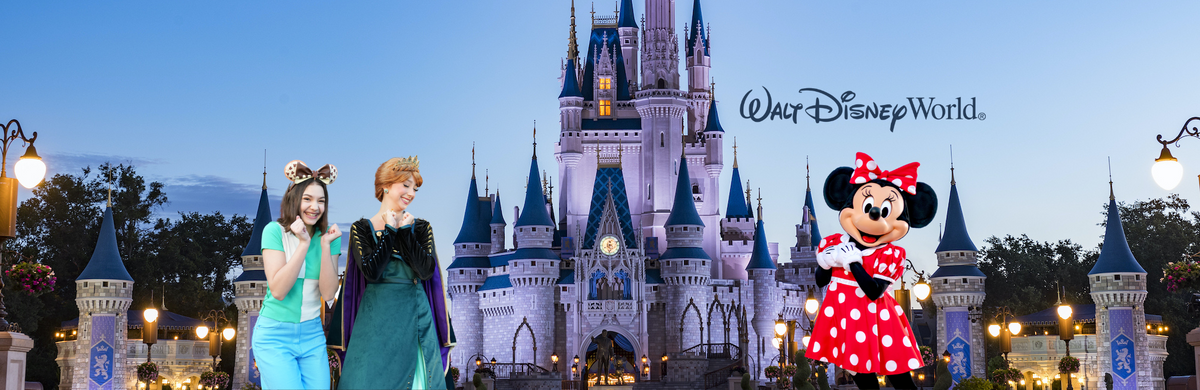 Disney World vacations we can help you plan your Disney vacation and save money.